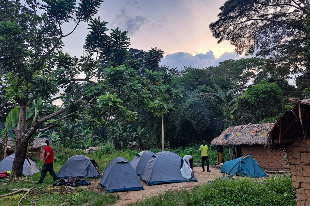 Journey Down the Congo River