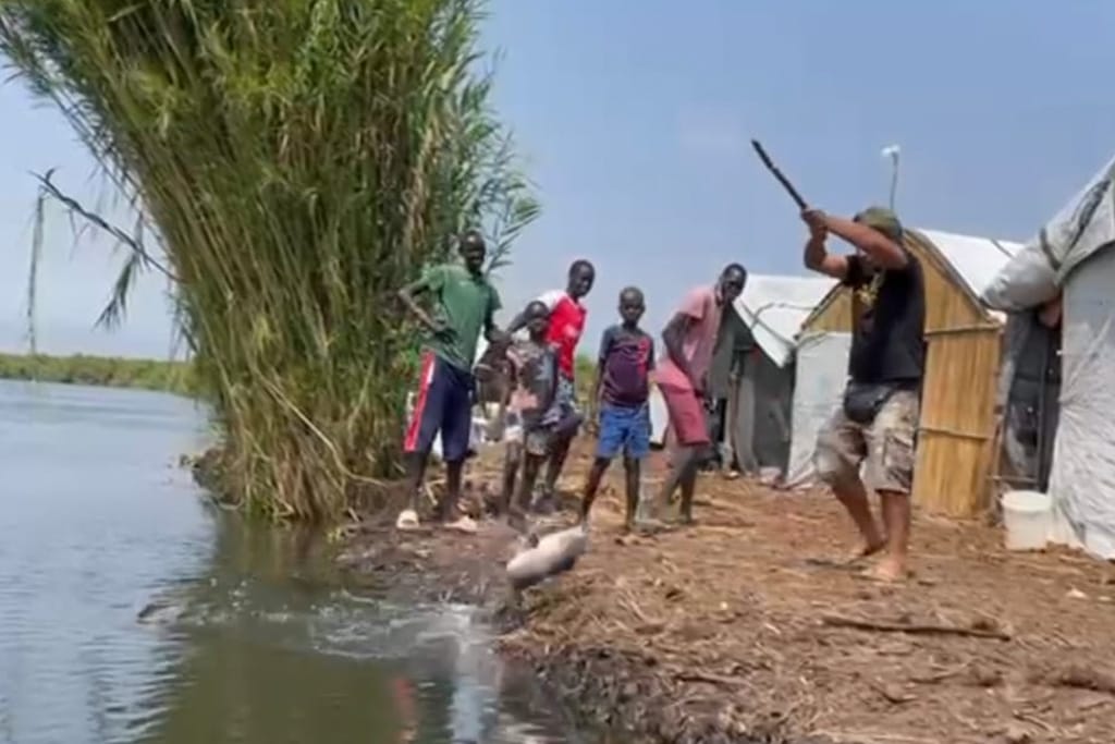 Fishing Sudd