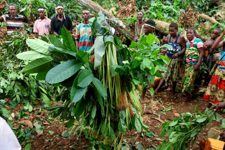 Viaje a Republica Centroafricana