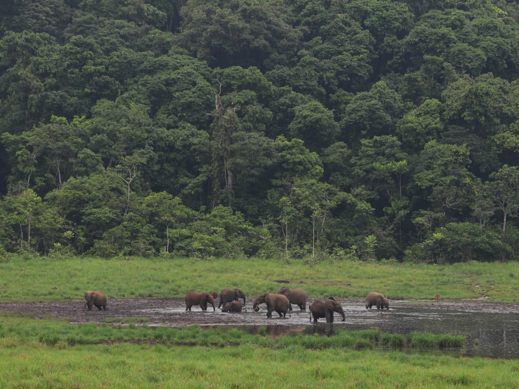 Trips to Gabon