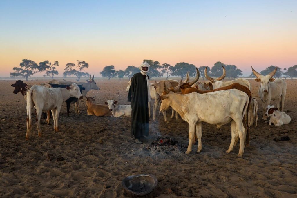 Tribes of Chad