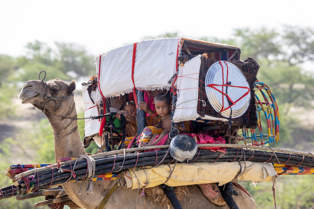 Nomads of Chad