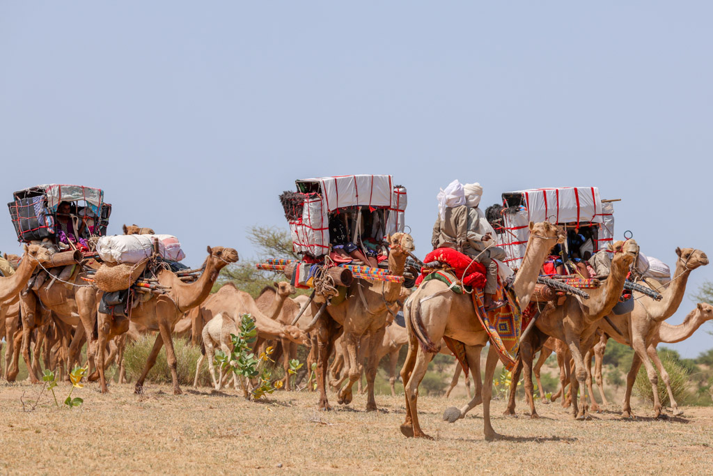 Trip to Lake Chad