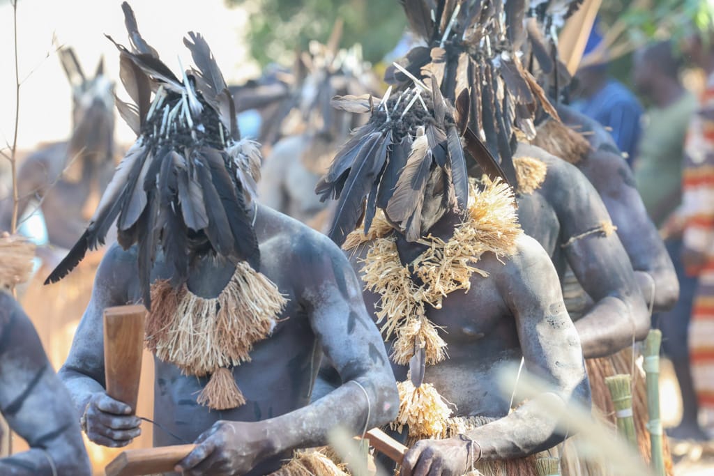 Diola culture
