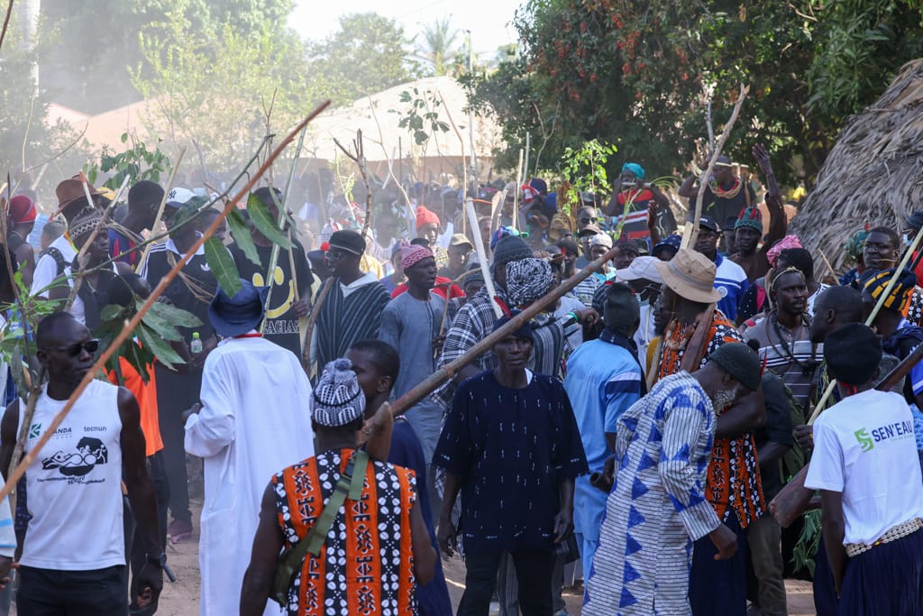 Casamance Festivals