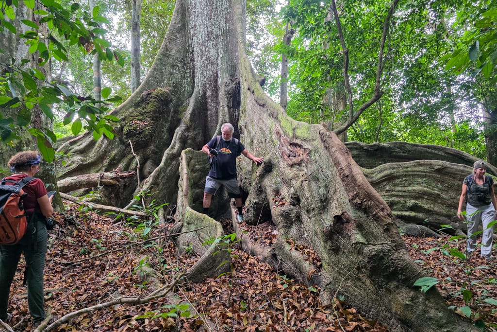 Viaje a Gabon