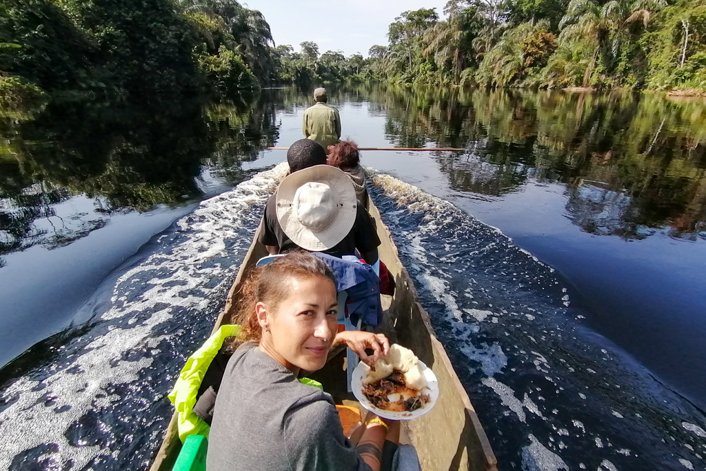 Congo Rainforest