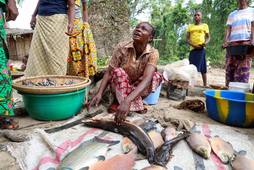 Kisangani, Mbandaka