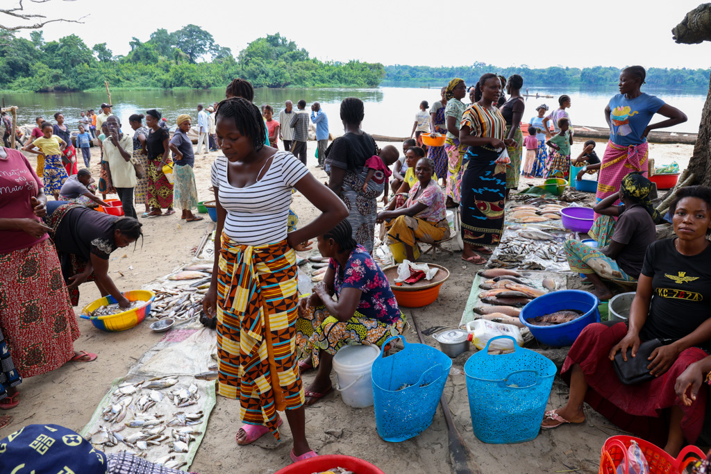 Congo River Expedition