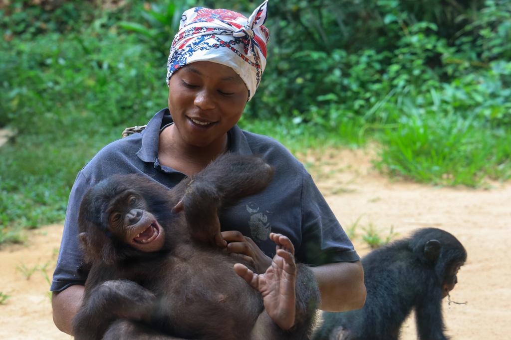 Lola Ya Bonobo
