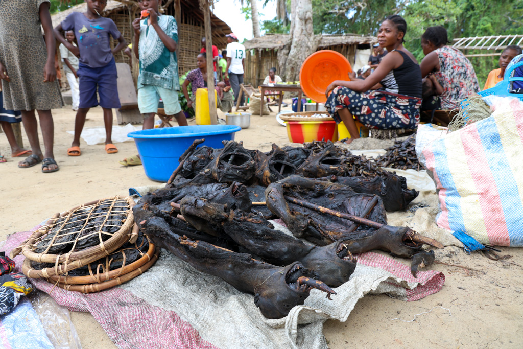 Trips to the DRC