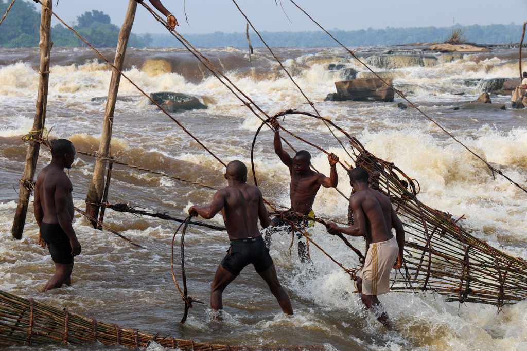 Wagenia Congo Fisheries