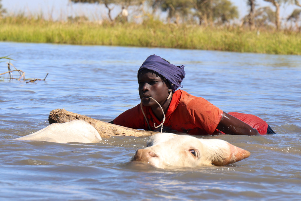 Buduma, Lake Chad