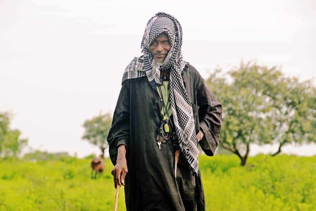 Chad mbororo