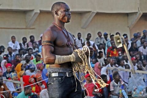 Dambe boxing Nigeria Kano