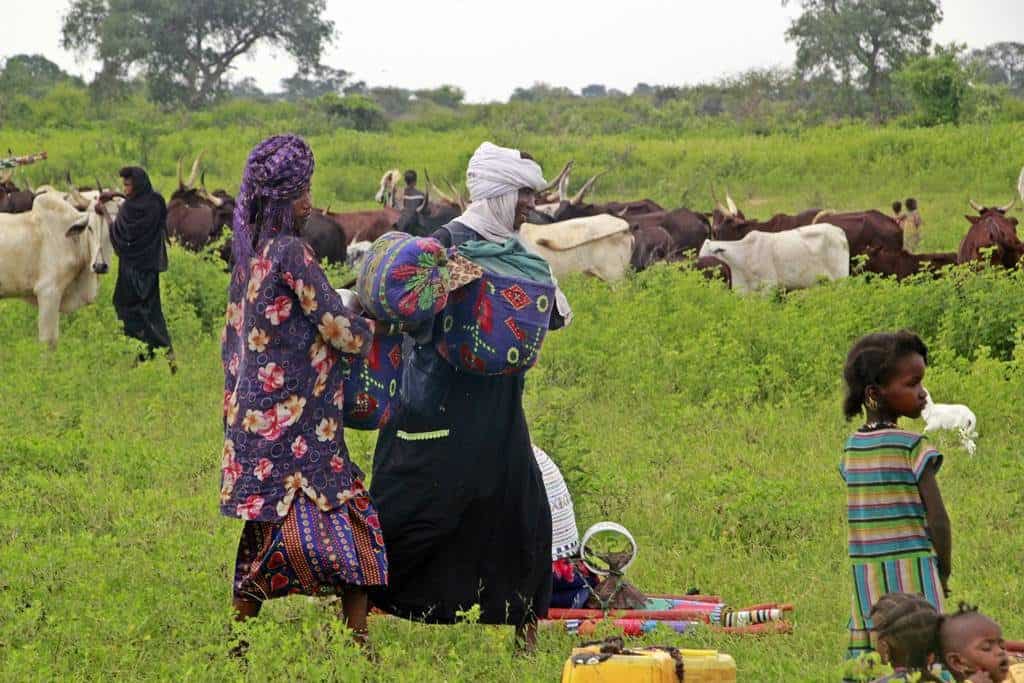 Experiencias unicas en Africa
