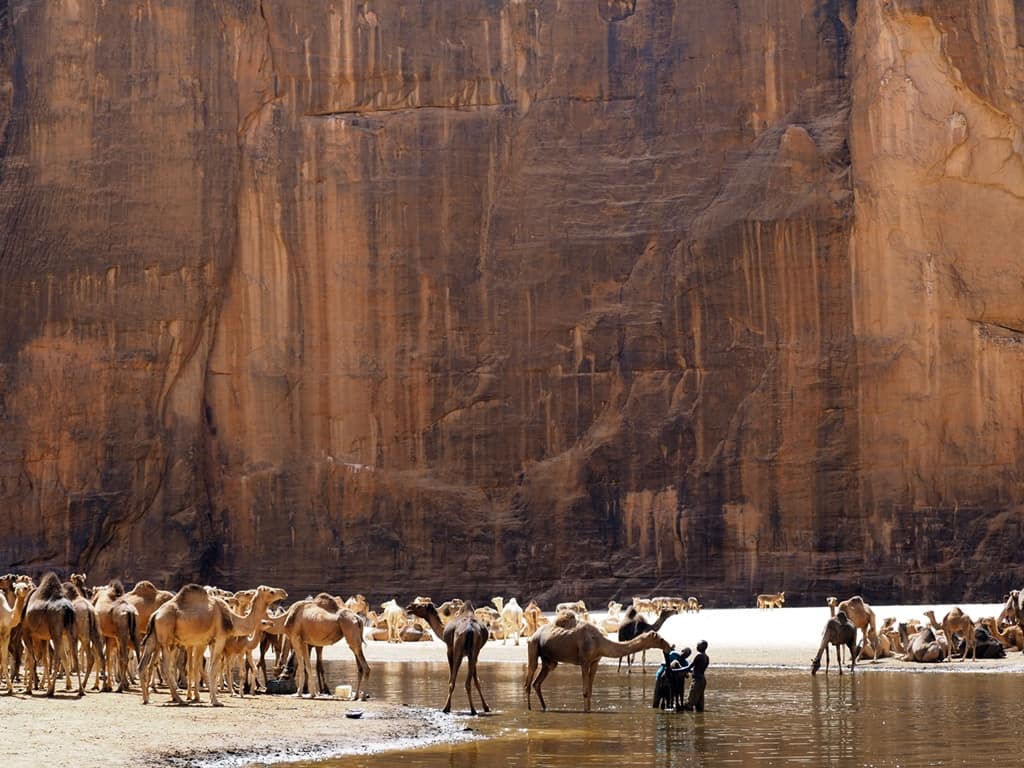 Guelta de Archei