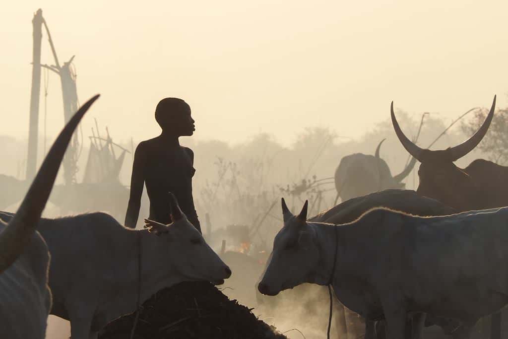 Trip to South Sudan