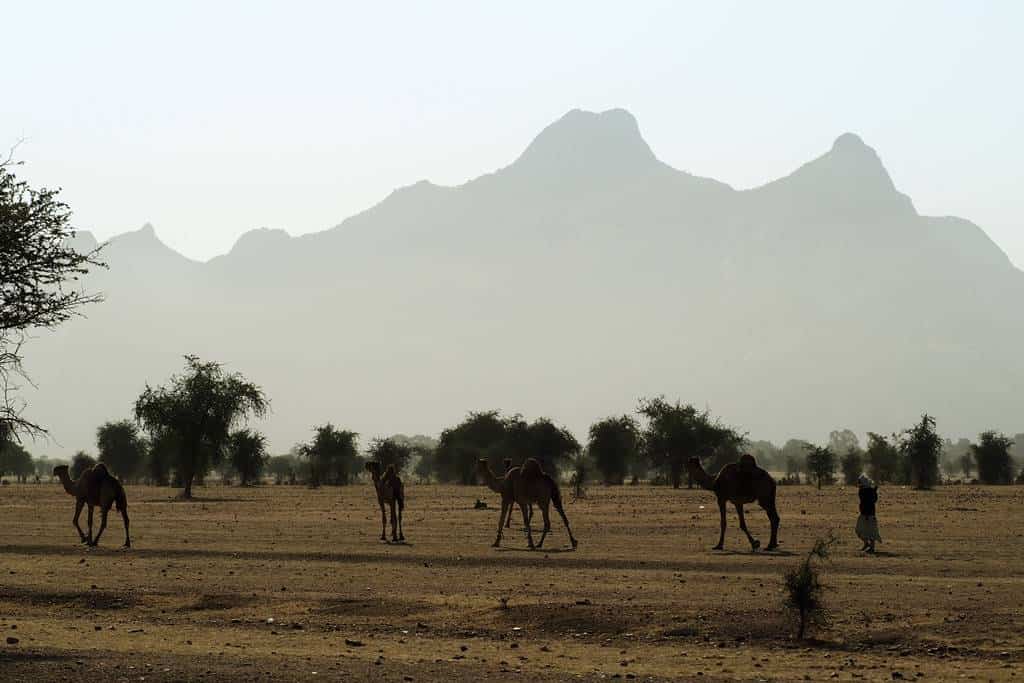Ecotourism in Guera Chad