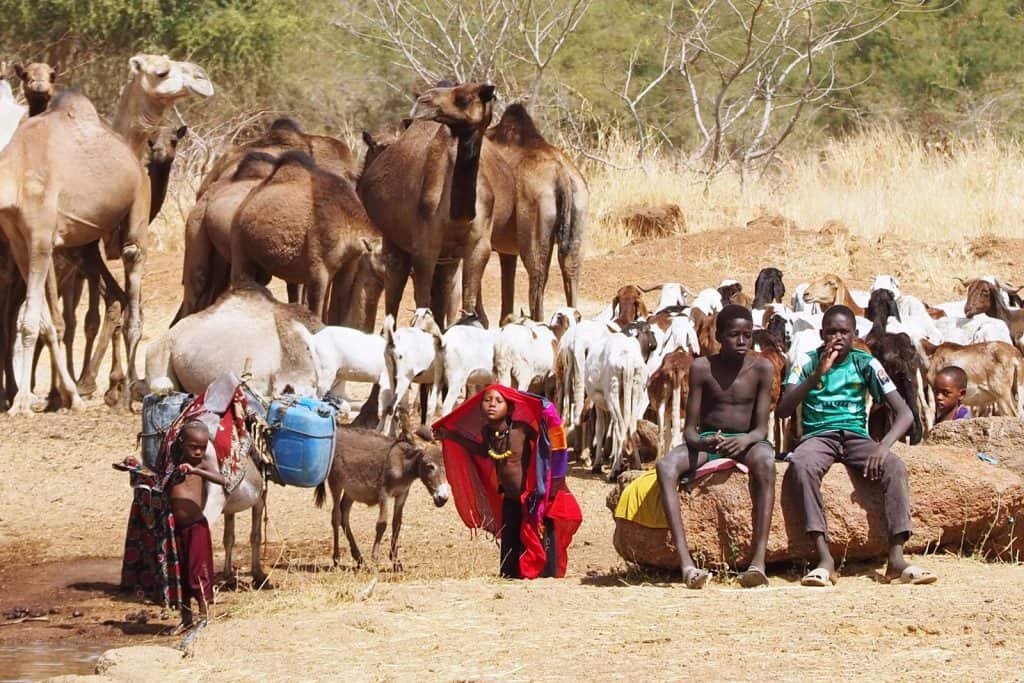 Trips to Chad